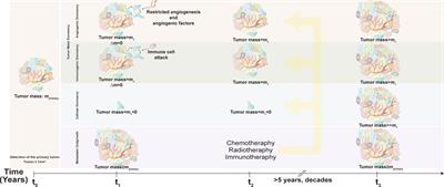 Autophagy and Cancer Dormancy